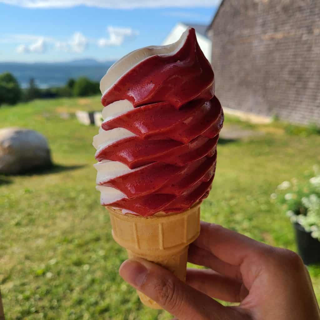 Blackcurrant-Vanilla Soft Serve from Cassis Monna & Filles