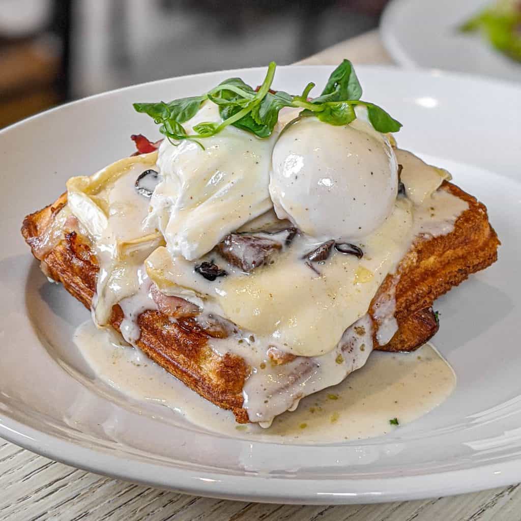 Poached egg, herb waffle, Turlo farm ham, Brie cheese, bechamel sauce, mushroom, hash brown